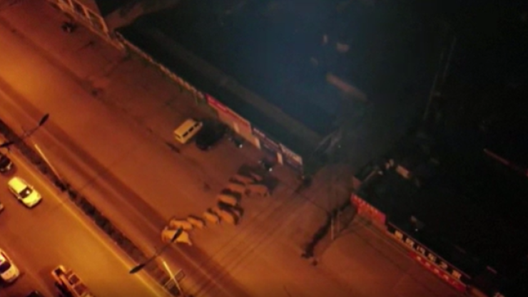 Manada de elefantes salvajes