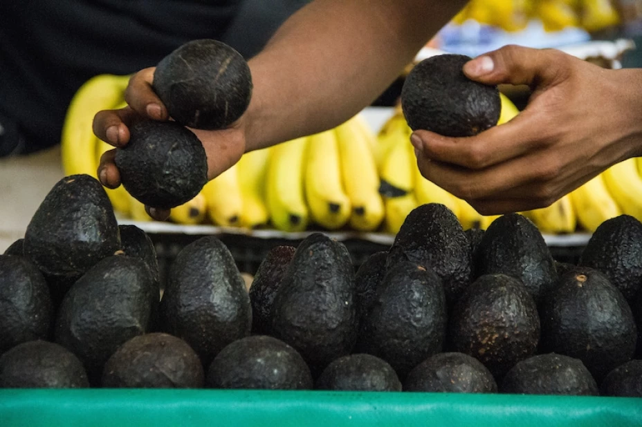 Aguacate Ciudad de México