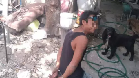 detenido por cocinar gato de su vecino