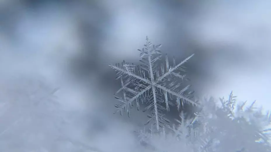 ¿Qué es el invierno atípico en México_ Esto informó el SMN