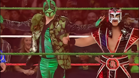 Luchadores AAA