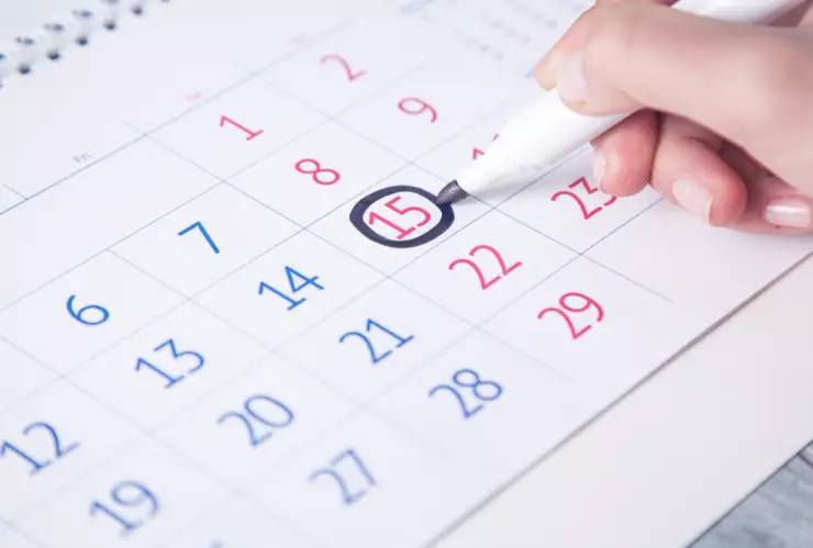 Calendario escolar SEP 2024-2025: Fechas de puentes, vacaciones y Consejo Técnico