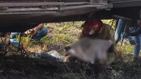 Foto del cuerpo de madre e hija que fallecieron en volcadura de autobús en carretera Paso del Toro-Alvarado