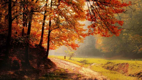 Equinoccio de otoño 2025; ¿qué pasa este día y cuándo sucederá en Aguascalientes