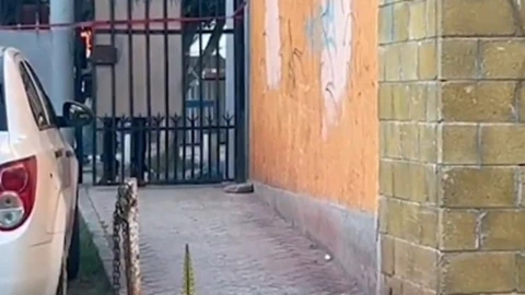 muerto en misiones de san francisco