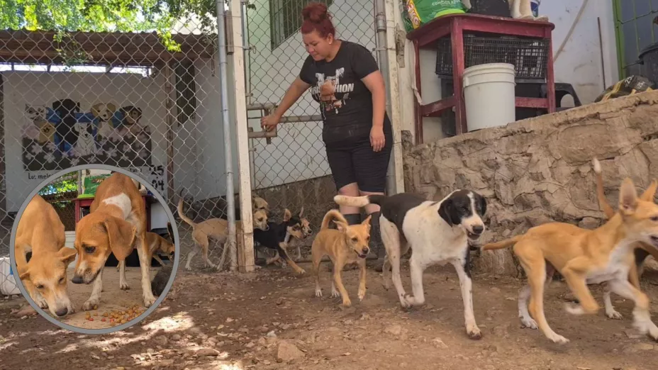 Policía Municipal de Culiacán