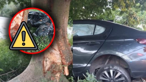 Conductor se estrella contra árbol en carretera federal 307 tramo Puerto Morelos - Playa del Carmen: Así fue el accidente hoy