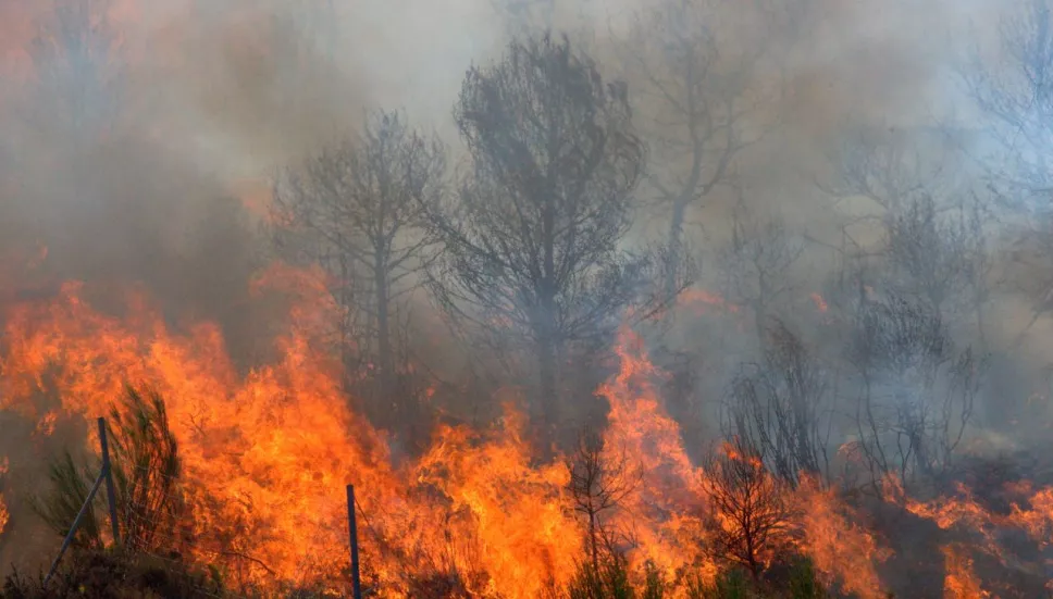 Consejos para proteger la salud del humo provocado por incendios forestales
