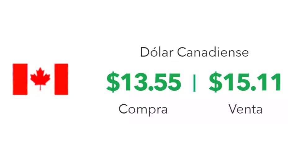Tipo de cambio: Precio del dólar hoy 4 de septiembre 2024 en México
