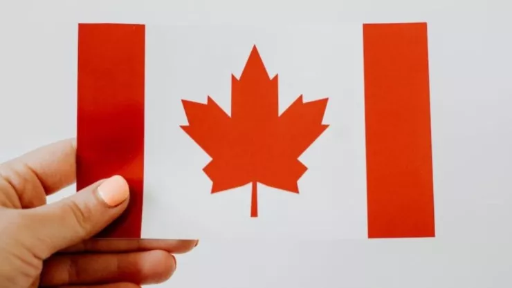 ¡Hay chamba! Canadá busca guardavidas mexicanos ¿cómo aplicar y qué requisitos?