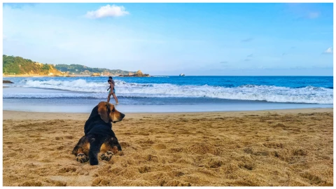 pueblo mágico mazunte playa