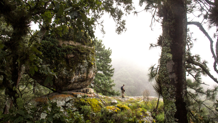 Pueblo Mágico boscoso