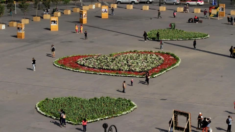 Zócalo de la Ciudad de México con flores