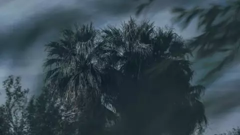 Depresión tropical se fortelece y ya es tormenta tropical Arlene