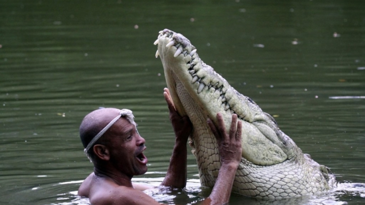 Cocodrilo Poncho.jpg