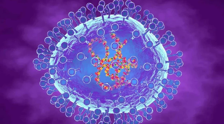 metapneumovirus-que-es-enfermedad-colapsado-china.jpg