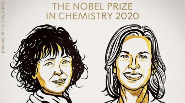 premio-nobel-quimica-.jpg