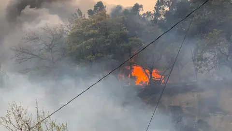 Incendio forestal Coahuila 3.jpeg