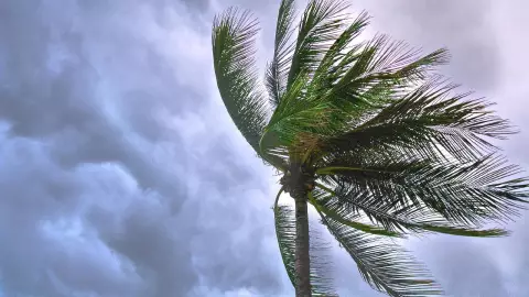 Tormenta, lluvia, viento, clima