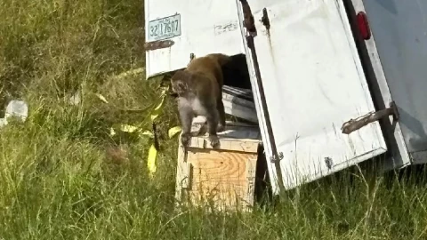 alerta sanitaria Mississippi.jpg