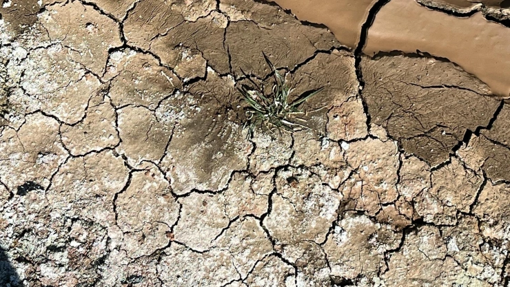 Sequía e incendios en Jalisco.jpg