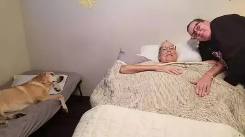 Perrito, enfermo de cáncer.jpg