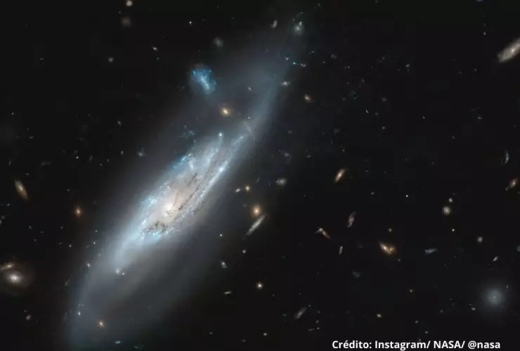 Descubren un nuevo tipo de exoplanetas habitables muy distintos a la Tierra.