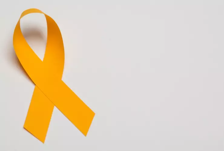 El significado detrás del Día Naranja