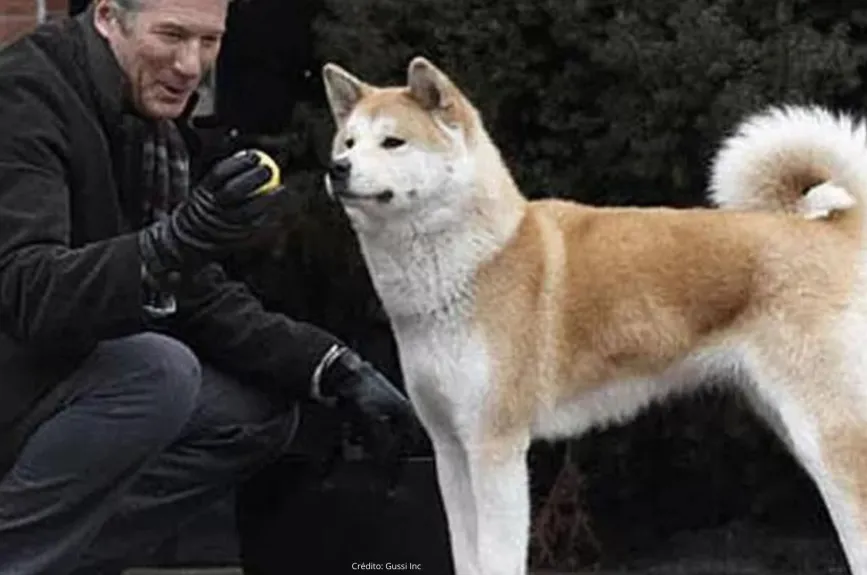 Famosos con un Hachiko en su vida (15).jpg