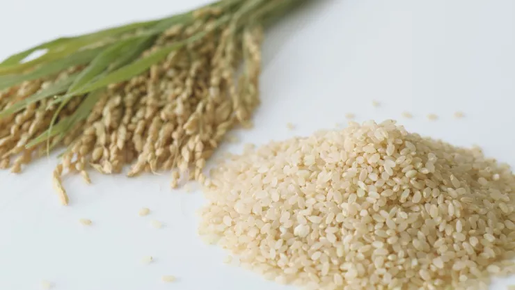 grano de arroz manda al hospital a un novio.jpg