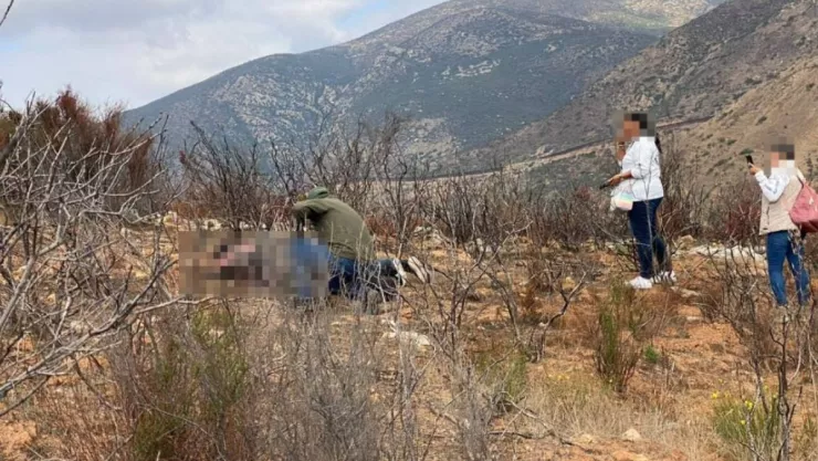 Video Colectivo de búsqueda localiza 4 cuerpos en la carretera Tijuana-Tecate este 21 de septiembre de 2023