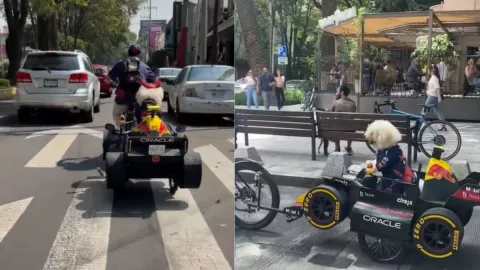 VIRAL: Checo Pérez conoce a “checoperrito”, el perro fan de Fórmula 1