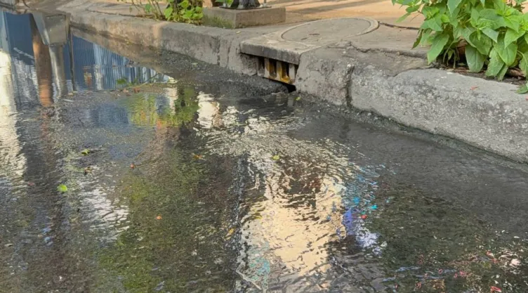 Fuga de aguas negras en Benito Juárez: Vecinos denuncian vivir con el problema desde hace tres meses