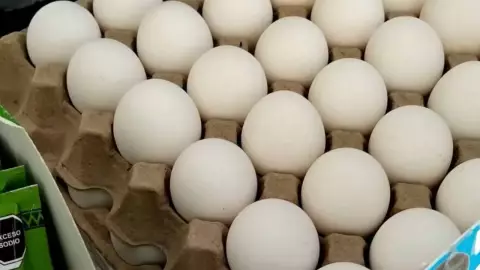 Yucatecos prefieren comprar carne en vez de huevo por altos precios