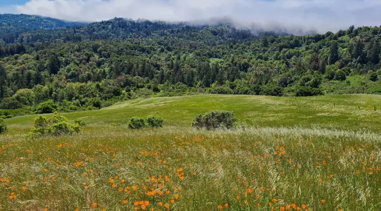 una vista de sus colinas en el norte de California