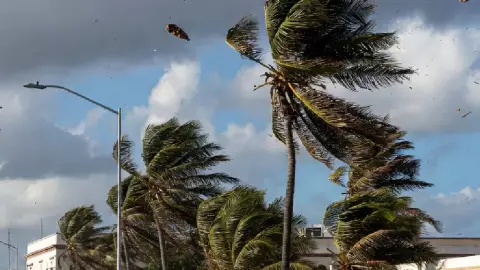 ¡Atención! Alertan por FUERTES vientos en Yucatán ¿Cuándo y qué recomendaciones seguir?