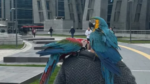 Loros revelan infidelidad