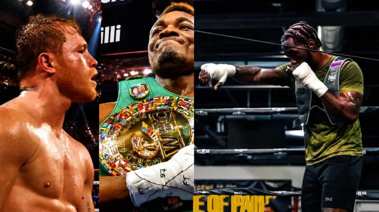 canelo mbilli crawford pelea box