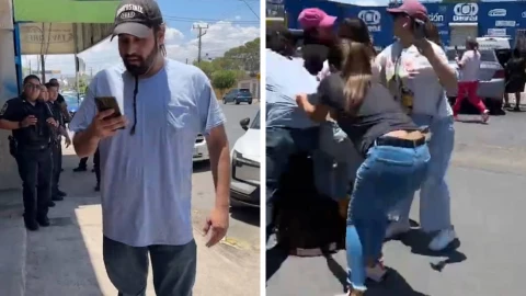 rescatan perros chihuahua.jpg