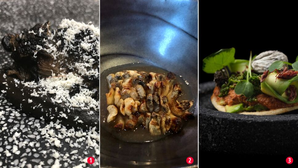 huitlacoche.jpg