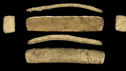 La barra de oro.jpeg