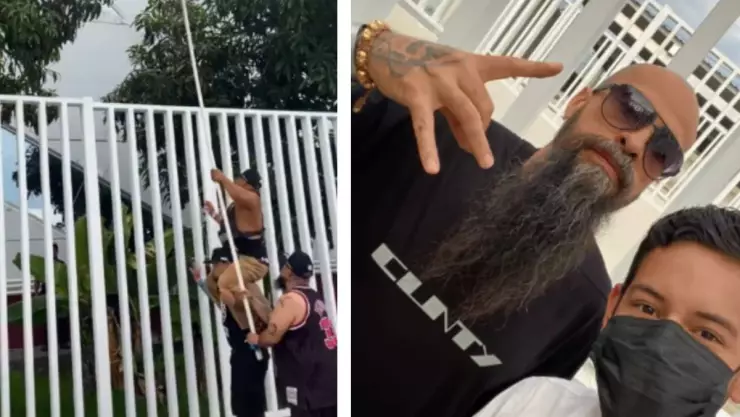 babo de cartel de santa baja mangos