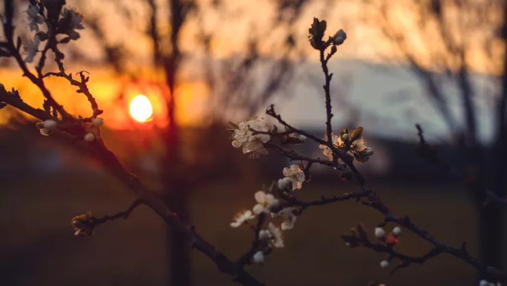 Solsticio de Invierno 2025 ¿Qué es y por qué se considera como el día más corto del año