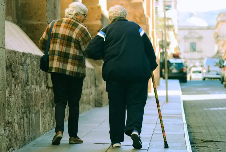 INAPAM actividades gratis cdmx.jpg