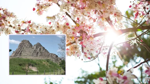 Zonas arqueológicas Tabasco primavera
