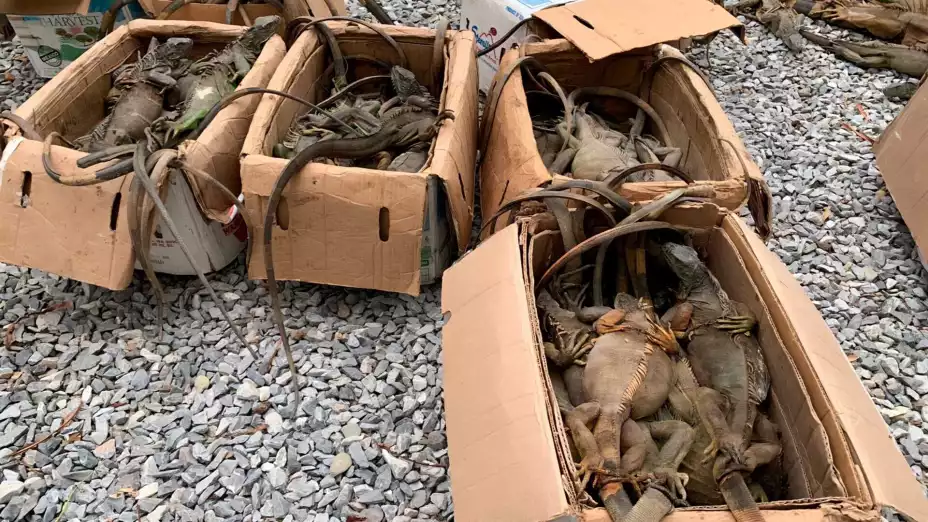 WhatsApp Image 2026-04-06 at 2.2.jpg