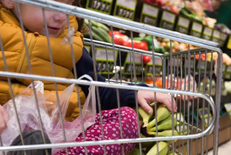 Alimentos de la canasta básica en México con plomo en 2025