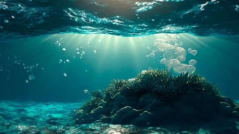 Oxígeno oscuro, fondo del océano