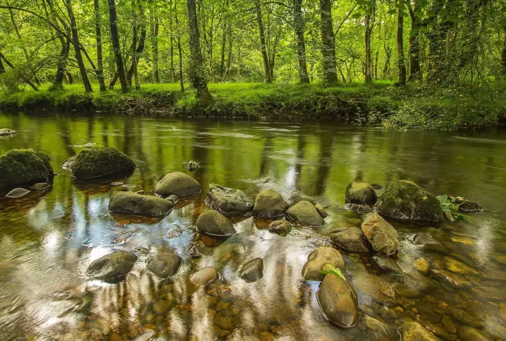 ¿Dónde ir a nadar en Morelos?
