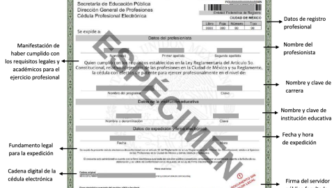 Cédula profesional electrónica 2024
